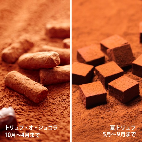 Truffle o Chocolat / Summer Truffle